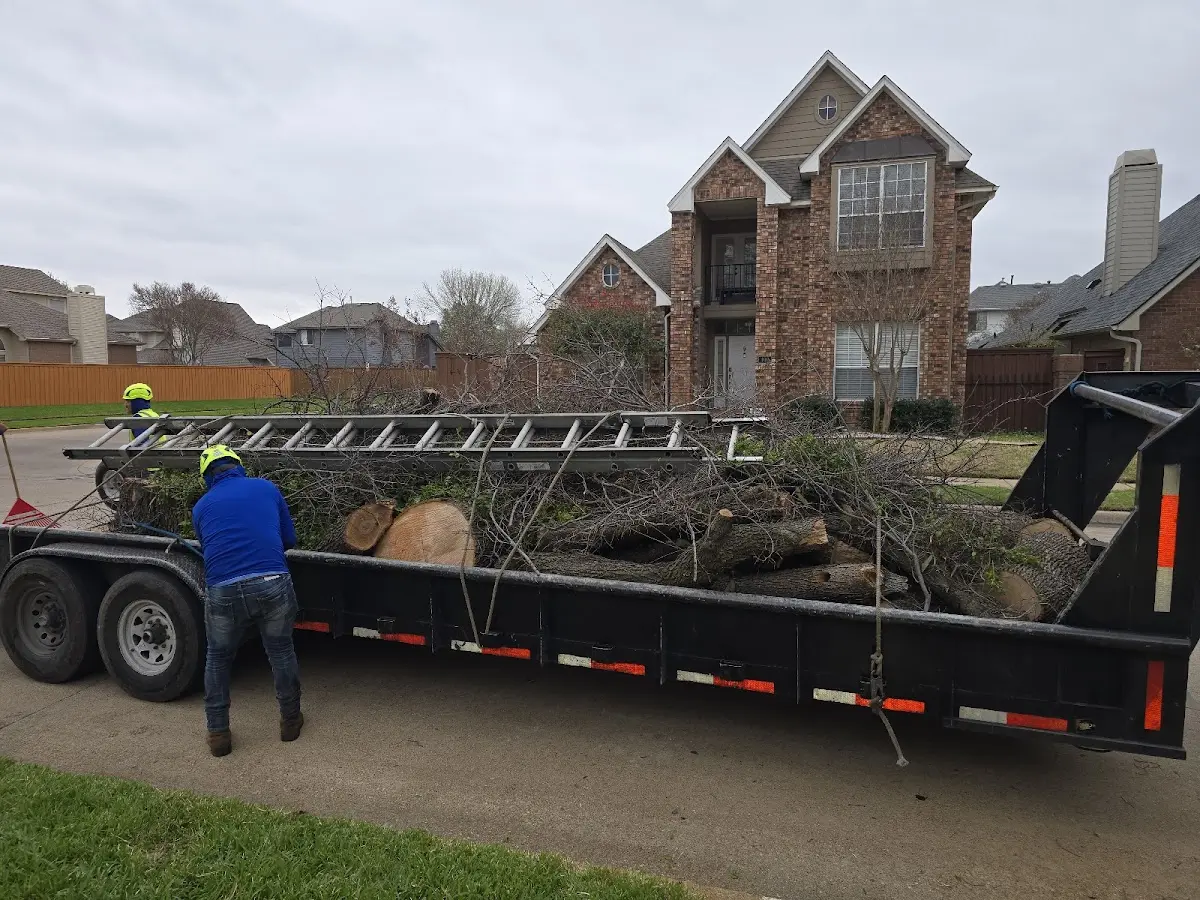 Expert Lot Clearing with proper safety equipment in Foster
